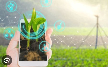 ଡିଜିଟାଲ ଫସଲ ସର୍ଭେ ଏବଂ କୃଷକ ପଞ୍ଜିକରଣରେ ଉଲ୍ଲେଖନୀୟ ପ୍ରଦର୍ଶନ...