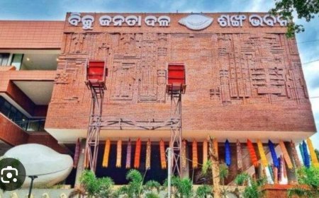 ବିଜେଡିର ଯୁବ ଓ ଛାତ୍ର ଶାଖାର ରାଜ୍ୟ କମିଟି କର୍ମକର୍ତ୍ତା ଘୋଷଣା କରାଯାଇଛି ।