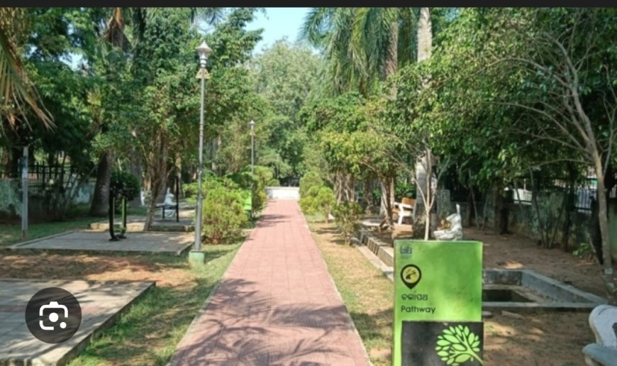 BDA ରେ ଥ‌ବା park ଶନି ଓ ରବିରେ ରହିବ ଖୋଲା...