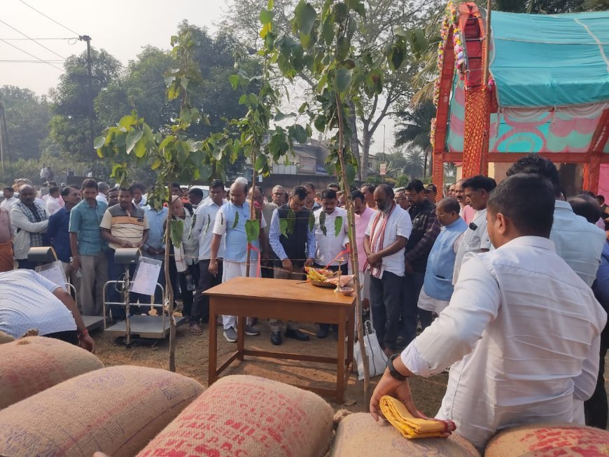 ଦେବଗଡ଼ ଜିଲ୍ଲାରେ ଧାନ କିଣା ଶୁଭାରମ୍ଭ...