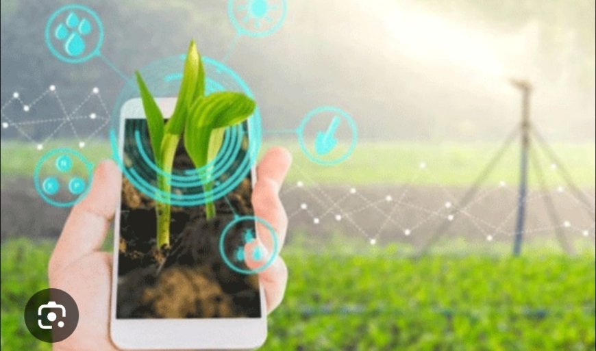 ଡିଜିଟାଲ ଫସଲ ସର୍ଭେ ଏବଂ କୃଷକ ପଞ୍ଜିକରଣରେ ଉଲ୍ଲେଖନୀୟ ପ୍ରଦର୍ଶନ...