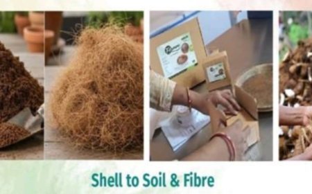 ଶଢ଼େଇରୁ ମାଟି: ନଡ଼ିଆ ବର୍ଜ୍ୟକୁ ଅର୍ଥନୈତିକ ଏବଂ ପରିବେଶଗତ ଲାଭରେ ରୂପାନ୍ତରିତ କରୁଛନ୍ତି ଭାରତର ସହରାଞ୍ଚଳ ସଂସ୍ଥା