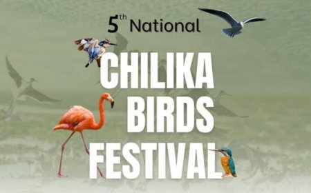 ଜାନୁଆରୀ ୬ ରୁ ୮ ତାରିଖ ଷଷ୍ଠ ଜାତୀୟ ଚିଲିକା ପକ୍ଷୀ ମହୋତ୍ସବ