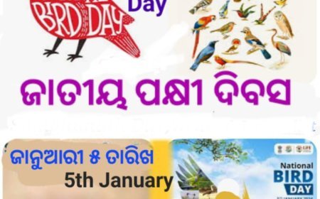 ଜାତୀୟ ପକ୍ଷୀ ଦିବସ ଜାନୁଆରୀ ୫ ରେ ପାଳନ କରାଯିବାର ପୃଷ୍ଠଭୂମି...