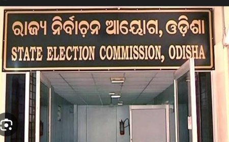 ୨୦୨୭ ପଞ୍ଚାୟତ ଓ ପୌର ନିର୍ବାଚନ ପାଇଁ ରାଜ୍ୟ ନିର୍ବାଚନ ଆୟୋଗଙ୍କ ପ୍ରସ୍ତୁତି...