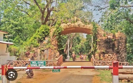 ରାଷ୍ଟ୍ରପତିଙ୍କ ଗସ୍ତ ପାଇଁ ଶିମିଳିପାଳ ବନ୍ଦ ରହିବ...