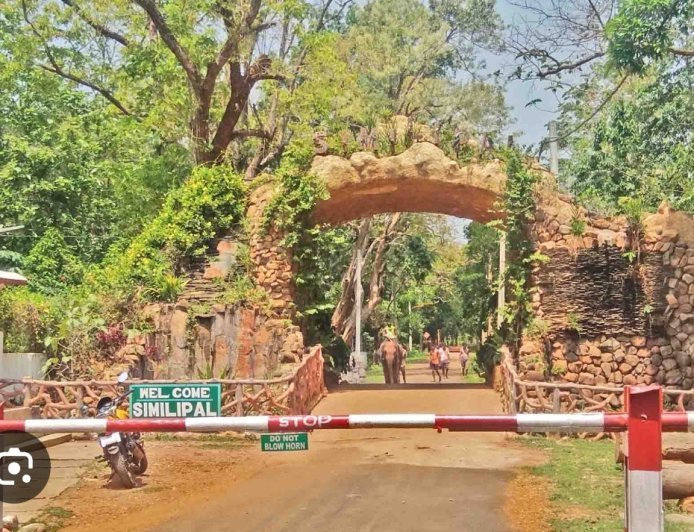 ରାଷ୍ଟ୍ରପତିଙ୍କ ଗସ୍ତ ପାଇଁ ଶିମିଳିପାଳ ବନ୍ଦ ରହିବ...