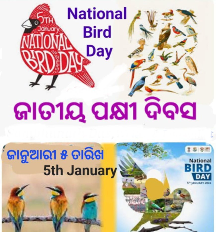 ଜାତୀୟ ପକ୍ଷୀ ଦିବସ ଜାନୁଆରୀ ୫ ରେ ପାଳନ କରାଯିବାର ପୃଷ୍ଠଭୂମି...