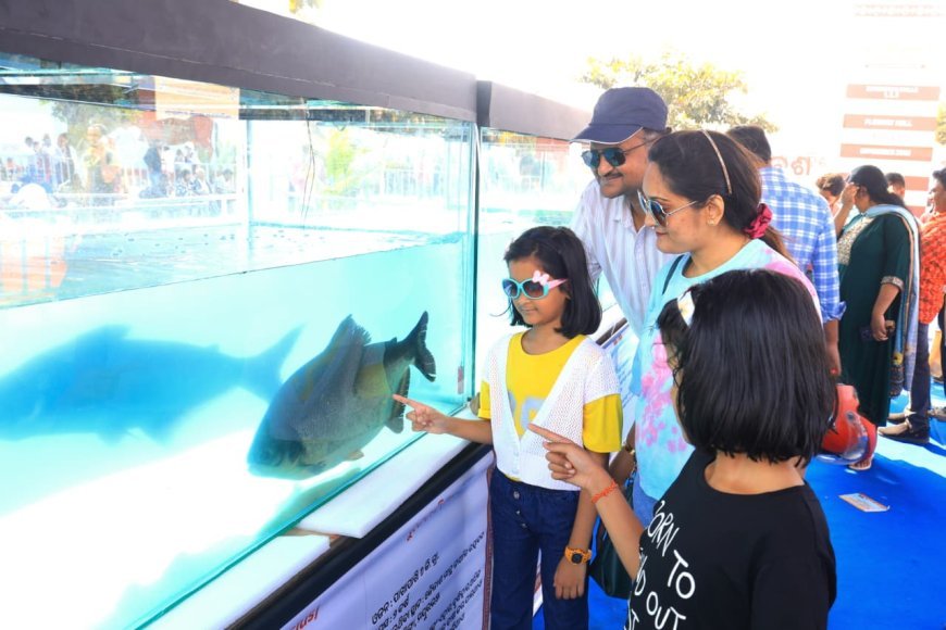 ମସ୍ଚ୍ୟ ପ୍ରାଣୀ ସମାବେଶ ର ଅନ୍ୟ ଏକ ଆକର୍ଷଣ -  ଜୀବନ୍ତ ମତ୍ସ୍ୟ ପ୍ରଦର୍ଶନୀ...