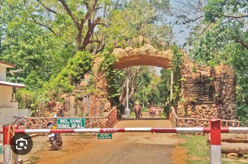 ରାଷ୍ଟ୍ରପତିଙ୍କ ଗସ୍ତ ପାଇଁ ଶିମିଳିପାଳ ବନ୍ଦ ରହିବ...