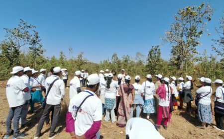 'ପିକକ' ର "ଇକୋ ଭେଂଜର କ୍ୟାମ୍ପ" ଆୟୋଜନ...