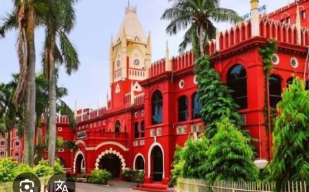 ପିତା ମାତାଙ୍କ ମୃତ୍ୟୁ ପରେ ନିର୍ଭରଶୀଳ ଝିଅକୁ ପରିବାର ପେନସନରୁ ବଂଚିତ କରାଯାଇପାରିବ ନାହିଁ ବୋଲି ହାଇକୋର୍ଟ କହିଛନ୍ତି ।