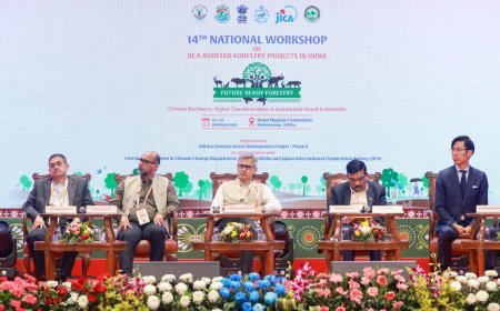 ଜାଇକା ସହାୟତା ପ୍ରାପ୍ତ ବନ ପ୍ରକଳ୍ପଗୁଡିକର ୧୪ ତମ ଜାତୀୟ କର୍ମଶାଳାର ଉଦଯାପନ...
