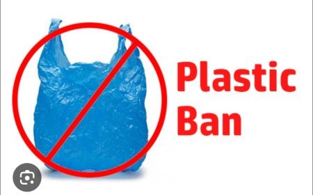 ମନ୍ଦିର ରେ ପ୍ଲାଷ୍ଟିକ ବ୍ୟବହାର ହେଲା ବ୍ୟାନ...