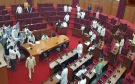 ବିଧାନ ସଭା ହାଲଚାଲ...