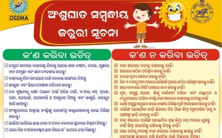 ଆଶା ଭରସା, ଚିର ସବୁଜ ଖବର କାଗଜ