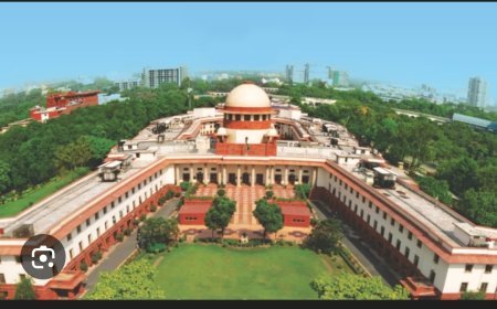 ମାଗଣା ବଣ୍ଟନ ବ୍ୟବସ୍ଥାକୁ କଡା ସମାଲୋଚନା କଲେ ସୁପ୍ରିମ୍‌ କୋର୍ଟ...