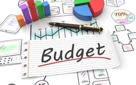 ବଜେଟ କୁ ନେଇ ବିଭାଗୀୟ ମନ୍ତ୍ରୀ ହେଲେଣି ଚଲଚଞ୍ଚଳ...