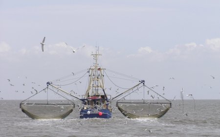 ଇଇଜେଡ୍‌ରେ ମାଛ ଧରା ପାଇଁ ପ୍ରବେଶ ପାସର ଜାତୀୟ ଶୁଭାରମ୍ଭ; ସାମୁଦ୍ରିକ ମତ୍ସ୍ୟ କ୍ଷେତ୍ର ପାଇଁ ଖୋଲିଲା ନୂତନ ଦ୍ବାର