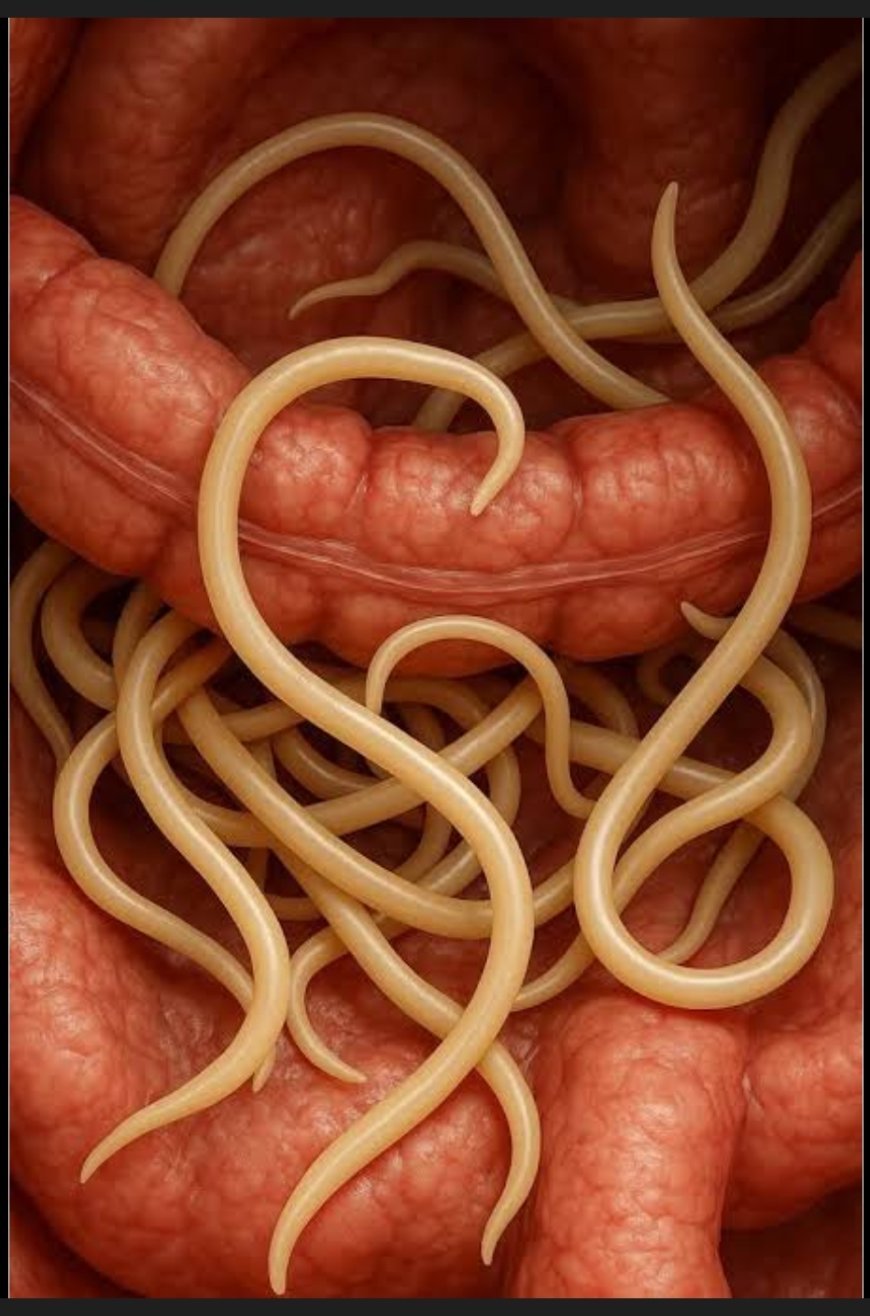 ଜାତୀୟ କୃମିନାଶକ ଦିବସ...