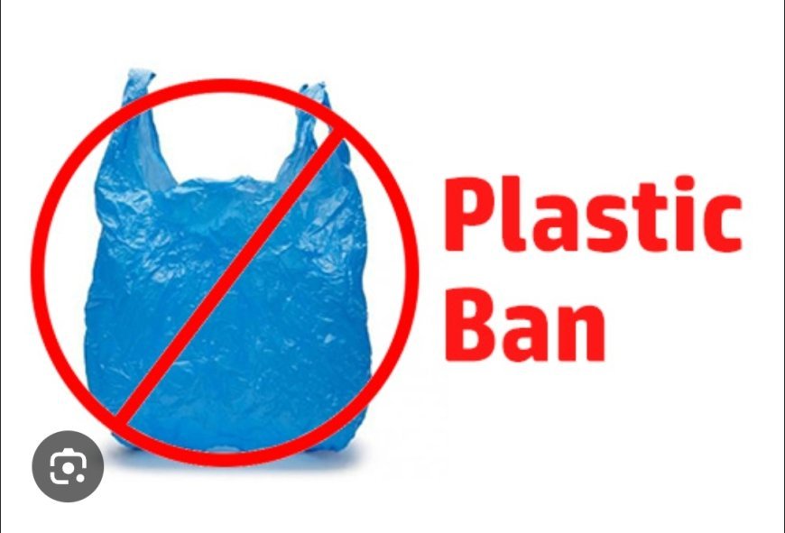 ମନ୍ଦିର ରେ ପ୍ଲାଷ୍ଟିକ ବ୍ୟବହାର ହେଲା ବ୍ୟାନ...