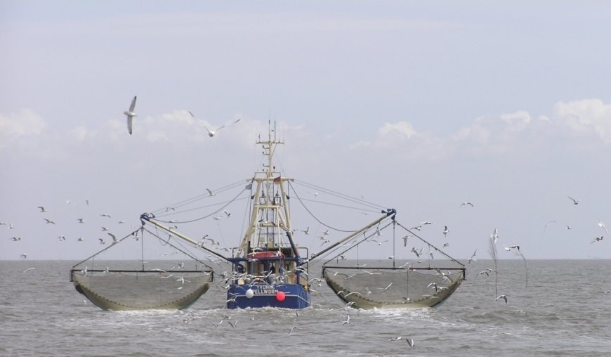 ଇଇଜେଡ୍‌ରେ ମାଛ ଧରା ପାଇଁ ପ୍ରବେଶ ପାସର ଜାତୀୟ ଶୁଭାରମ୍ଭ; ସାମୁଦ୍ରିକ ମତ୍ସ୍ୟ କ୍ଷେତ୍ର ପାଇଁ ଖୋଲିଲା ନୂତନ ଦ୍ବାର