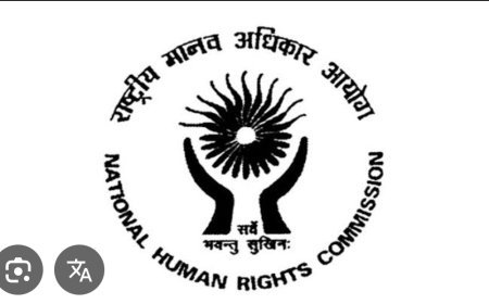 ଏନଏଚଆରସିଙ୍କ ହସ୍ତକ୍ଷେପ ପରେ ଥାଇଲ୍ୟାଣ୍ଡରେ ନିର୍ଯାତିତ ଛଅ ଓଡ଼ିଆ ଶ୍ରମିକଙ୍କୁ ଫେରାଇ ଆଣିଲା ବୈଦେଶିକ ବ୍ୟାପାର ମନ୍ତ୍ରଣାଳୟ