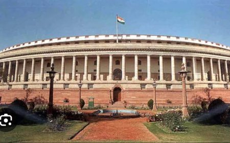 ରାଜ୍ୟସଭା ନିର୍ବାଚନରେ ସାମ୍ବିଧାନିକ ହ୍ୱିପ୍‍ ନାହିଁ, କ୍ରସ ଭୋଟିଂ ହେବାର ସମ୍ଭାବନା ଅଧିକ...