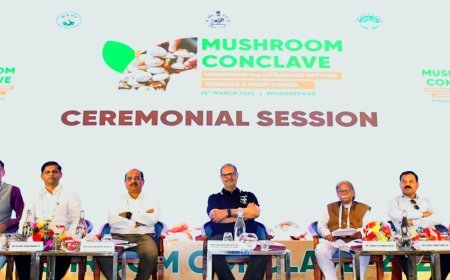 ମଶରୁମ୍ (ଛତୁ)କନକ୍ଲେଭ୍ ୨୦୨୬ ଅନୁଷ୍ଠିତ...