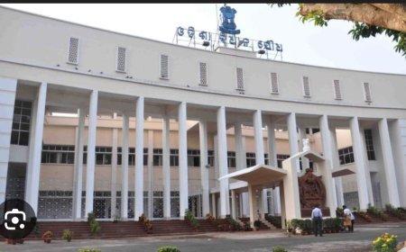 ଓଡିଶା ବିଧାନସଭା ହାଲ ଚାଲ...