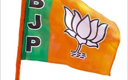 ବିଜେପି ନିଯୁକ୍ତି ଦେଲା 30 ଜିଲ୍ଲାର ଯୋଜନା ବୋର୍ଡ ଅଧକ୍ଷ