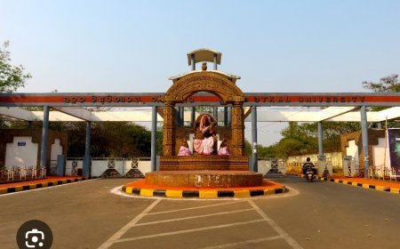 ନିଯୁକ୍ତ ହେଲେ ୧୪ ଜଣ କୁଳପତି, ବିଭିନ୍ନ ବିଶ୍ବବିଦ୍ୟାଳୟ ରେ...