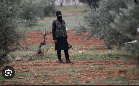 ମାଓବାଦୀ ପ୍ରଭାବିତ ଜିଲ୍ଲାଗୁଡିକରେ ‘ଗ୍ରାମୋଦୟ’ ଯୋଜନାର ସଫଳ ରୂପାୟନ...