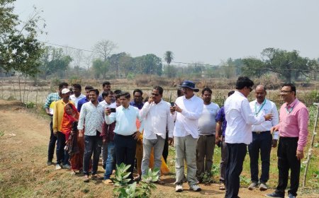 ଢେଙ୍କାନାଳରେ ଚାଷୀମାନେ oLime + ପ୍ରଦର୍ଶନ ସମୀକ୍ଷା...