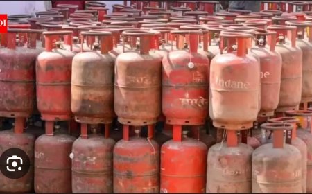 ସାରା ଦେଶରେ ଘରୋଇ ଏଲପିଜି ବିକ୍ରି ସ୍ବାଭାବିକ ରହିଛି