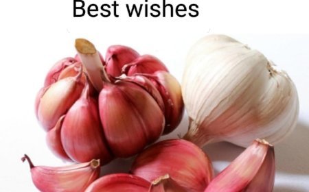 ଜାତୀୟ ରସୁଣ ଦିବସ...