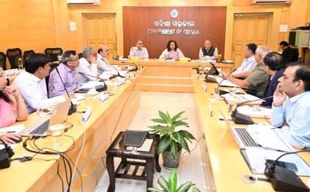 ବିଦ୍ୟୁତ ବଣ୍ଟନ କମ୍ପାନୀମାନଙ୍କର ୨୯ ତମ ବୋର୍ଡ ବୈଠକରେ ମୁଖ୍ୟ ଶାସନ ସଚିବ...