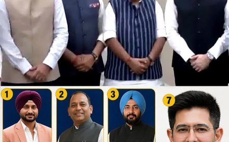 ବିଜେପିରେ ଯୋଗ ଦେବା ରାଜ୍ୟସଭାରେ ବିଭାଜିତ ହେଲା ଆମ୍ ଆଦମୀ ପାର୍ଟି !