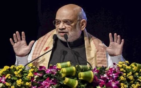 ମେ ୫ ରୁ ହଟିବେ ଅନୁପ୍ରବେଶକାରୀ...