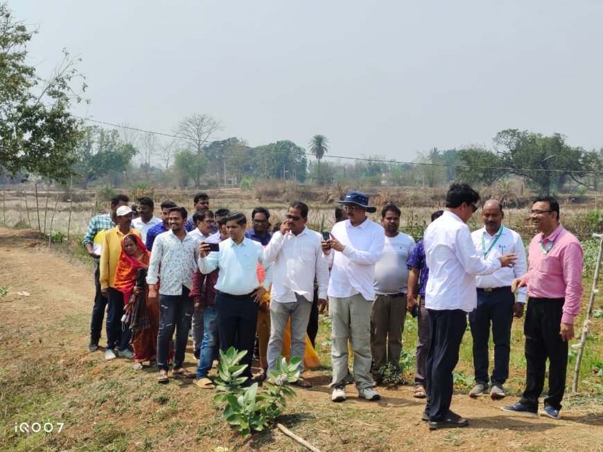 ଢେଙ୍କାନାଳରେ ଚାଷୀମାନେ oLime + ପ୍ରଦର୍ଶନ ସମୀକ୍ଷା...