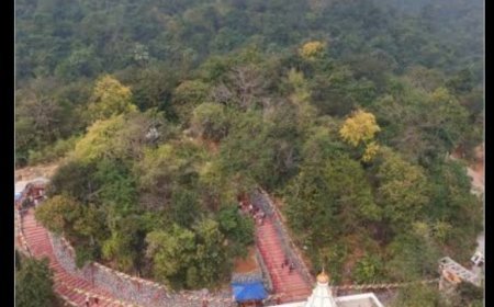 ଓଡ଼ିଶାର ବୈଷ୍ଣୋଦେବୀ ମନ୍ଦିରରୁ ଚୋରି...
