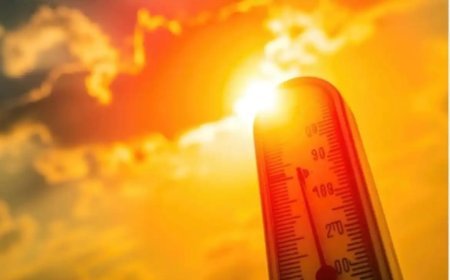 Heat Wave Alert  ଜାରୀ କଲା ପାଣିପାଗ ବିଭାଗ...