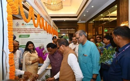 ଓଡ଼ିଶାର ଆମ୍ବ କିସମ ଓ ଉତ୍ପାଦନକୁ ନେଇ କେନ୍ଦ୍ର କୃଷି ମନ୍ତ୍ରୀଙ୍କ ପ୍ରଶଂସା...