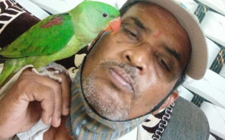 ପକ୍ଷୀ ପ୍ରେମୀ ମଣିଷ...