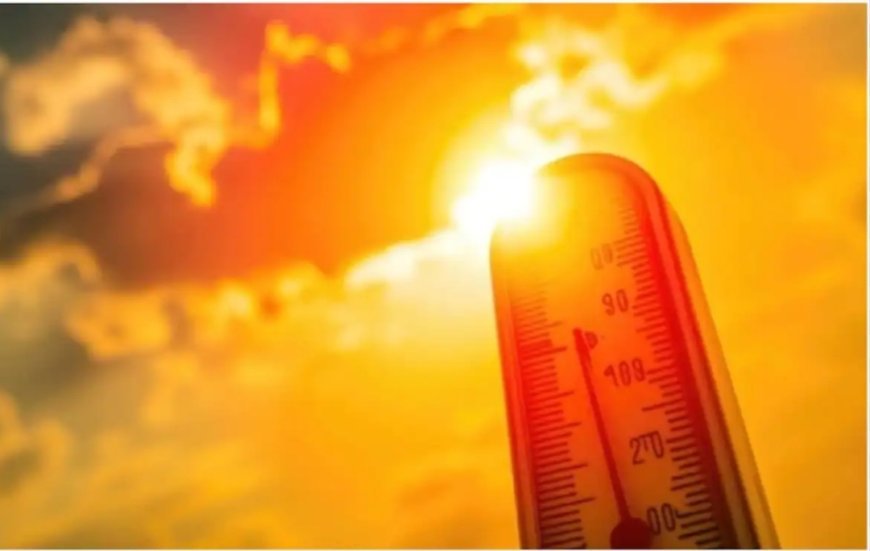Heat Wave Alert  ଜାରୀ କଲା ପାଣିପାଗ ବିଭାଗ...