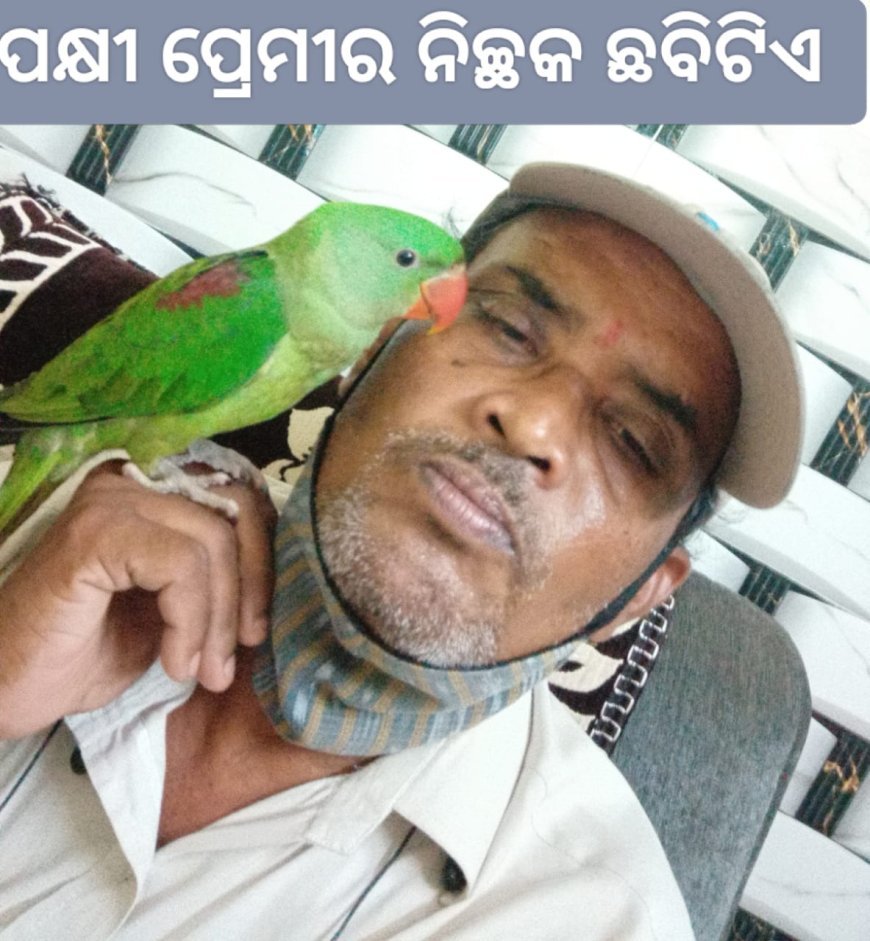 ପକ୍ଷୀ ପ୍ରେମୀ ମଣିଷ...