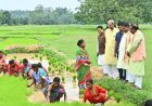 କେନ୍ଦୁଝରରେ ଖରିଫ ପ୍ରସ୍ତୁତି ଓ କୃଷି କାର୍ଯ୍ୟର ସମୀକ୍ଷା କଲେ ଉପ-ମୁଖ୍ୟମନ୍ତ୍ରୀ ଶ୍ରୀ କେ ଭି ସିଂହଦେଓ...