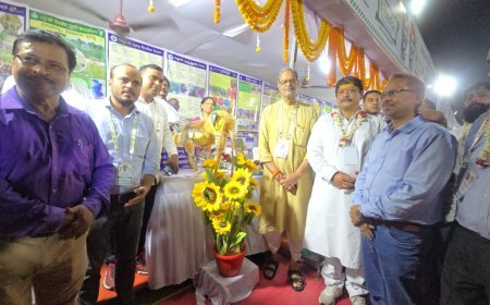 ଇସିଏଲଜିଏସ ୫.୦: ଅଧୂକ ପ୍ରୋ ପ୍ରୋତ୍ସାହନ ସହ ଏମଏସଏମଇଗୁଡ଼ିକର ହେବ ସଶକ୍ତିକରଣ; ତ୍ବରାନ୍ବିତ ହେବ ଆର୍ଥିକ ବିକାଶ