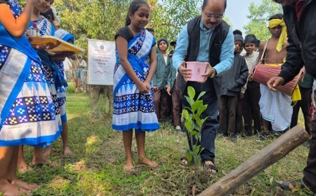 ଏକଲବ୍ୟ ଆଦର୍ଶ ଆବାସିକ ବିଦ୍ୟାଳୟରେ ବିଶ୍ବ ପରିବେଶ ଦିବସ ପାଳିତ...