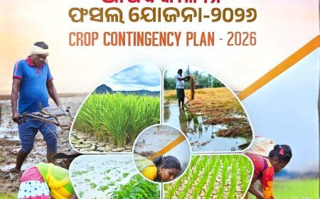 ଖରିଫ ୨୦୨୬ ଓ ଏଲ୍ ନିନୋ ମୁକାବିଲାର ପ୍ରସ୍ତୁତି ସମୀକ୍ଷା କଲେ କେନ୍ଦ୍ର କୃଷି ମନ୍ତ୍ରୀ...